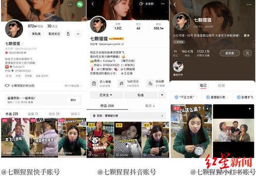 今日某博主爆料视频,揭秘今日热门视频背后惊人真相