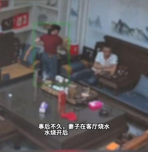 最新爆料视频完整版免费观看,最新爆料视频完整版免费观看，真相大白！